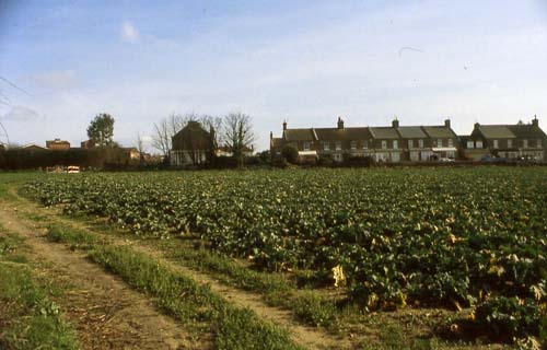 Gordon Fields - from path from Minnis Road